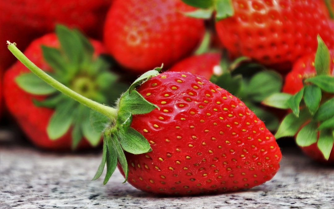 10 Powerhouse nutrient rich organic snacks to Energize Your 2025 Diet