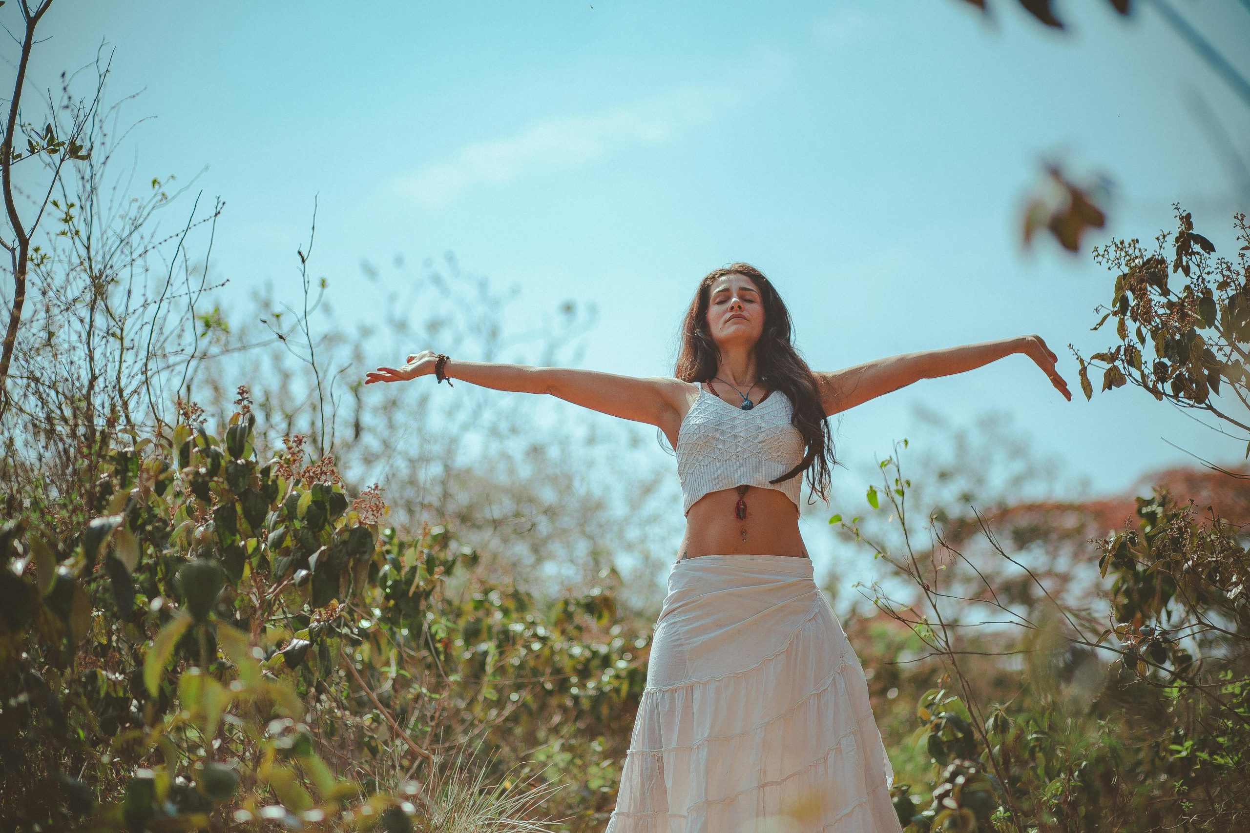 The Ultimate 2025 Guide to the Best Organic Nutrient Dense Meal Plan