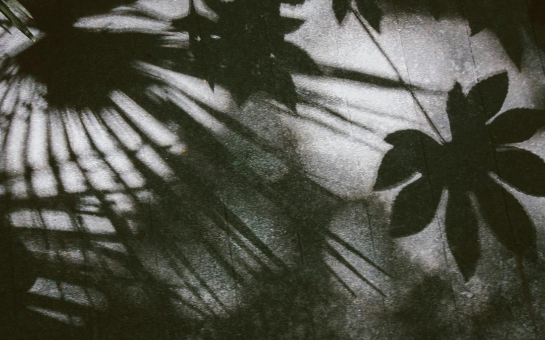 close-up of fresh strawberries in sunlight organic nutrition, healthy eating tips, clean eating recipes, whole food