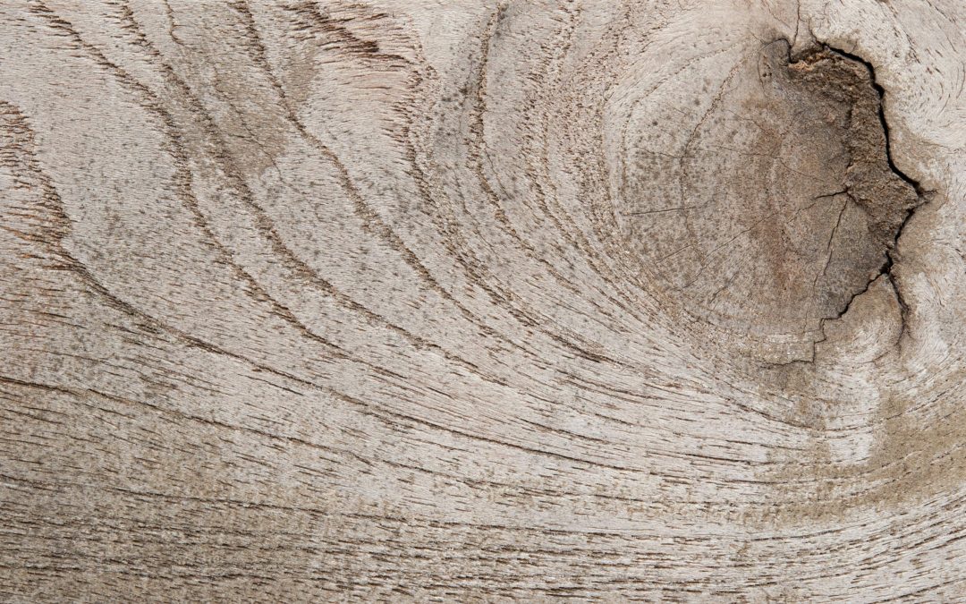 fresh herbs on a kitchen windowsill organic nutrition, healthy eating tips, clean eating recipes, whole food plant-based