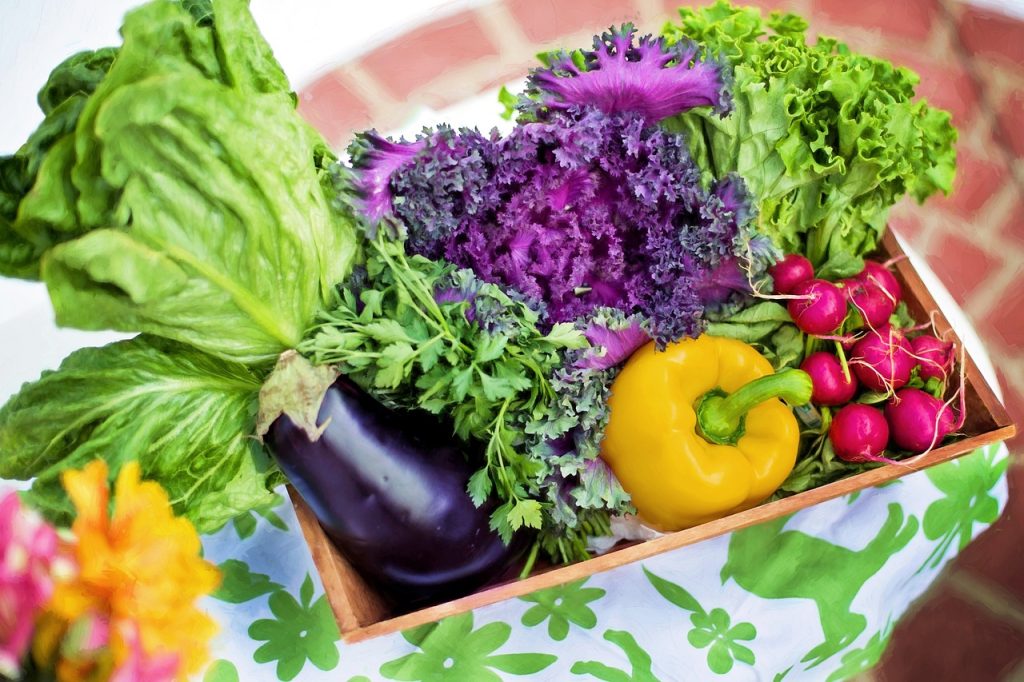 organic whole food nutrition
