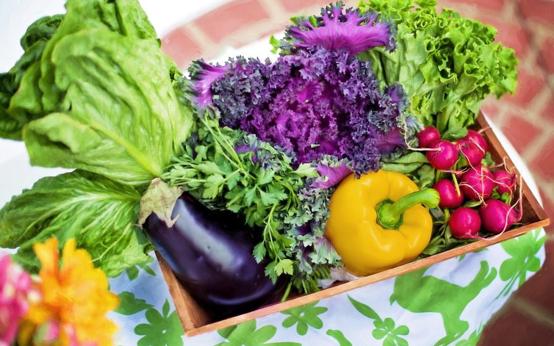 organic whole food nutrition