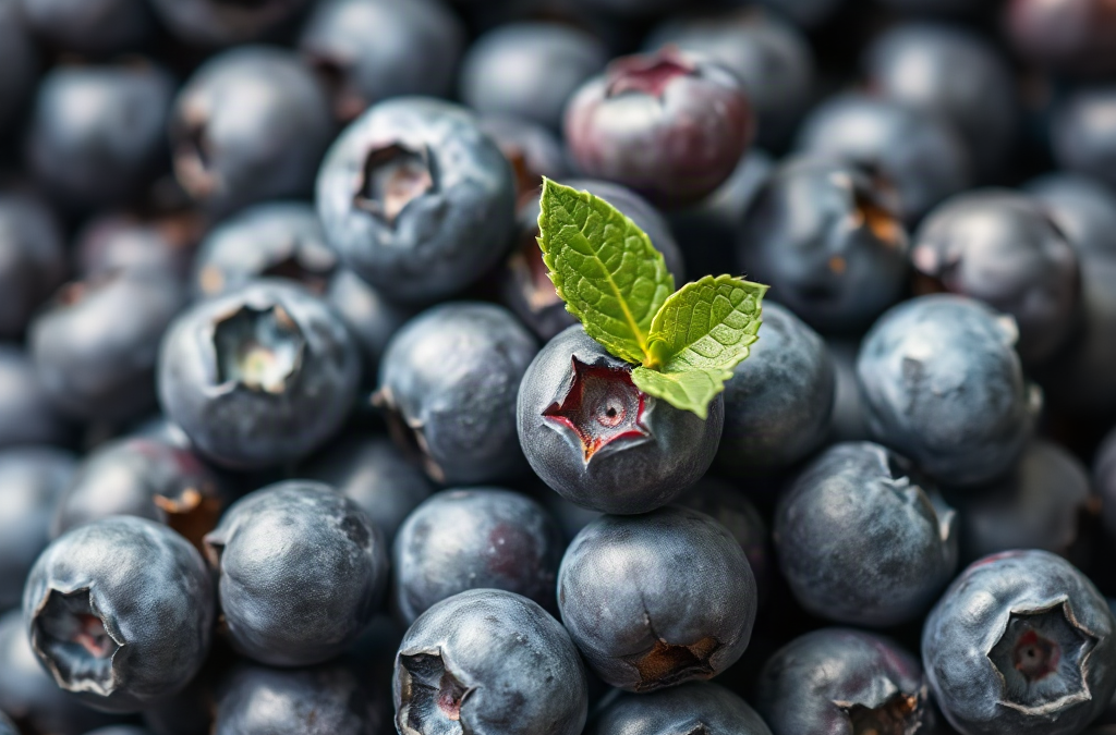 Comparing Organic Blueberries by Nutrition and Use